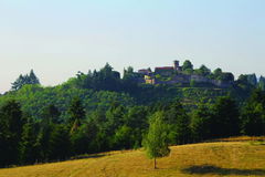 Forêt de Pardières