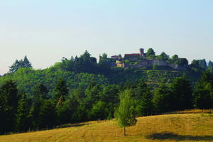 Forêt de Pardières