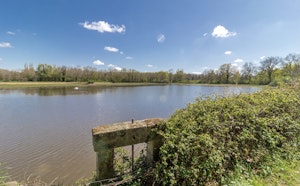 Ponds around Monthieux