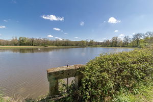 Étangs autour de Monthieux