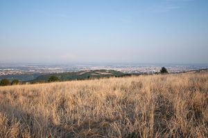 Mont Thou depuis Saint-Cyr-au-Mont-d'Or