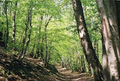 Around Pollionnay