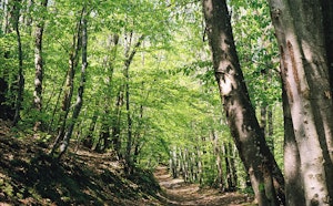 Around Pollionnay