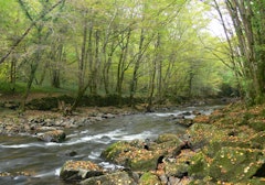 Gorges de la Bouble