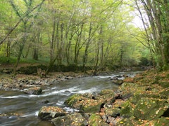 Gorges de la Bouble 