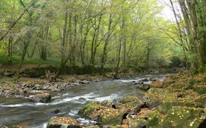 Gorges de la Bouble