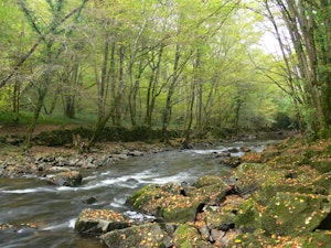 Gorges de la Bouble 