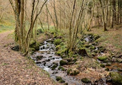 Gorges du Désert