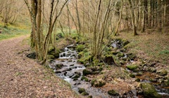 Gorges du Désert