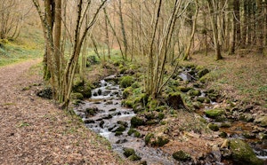 Gorges du Désert