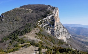 Grand Pomerolle