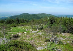 Grün de Chignore
