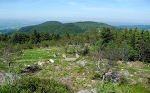 Grün de Chignore
