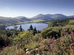 Heights of Lac Guéry