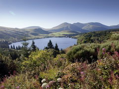 Heights of Lac Guéry