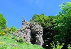 Porte du Lion