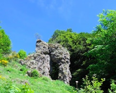 Porte du Lion