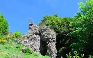 Porte du Lion