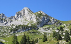 La Sambuy