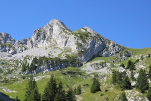 La Sambuy