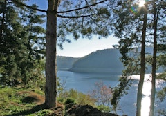 Forêt de Rénac