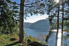 Forêt de Rénac