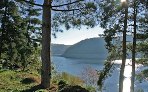 Forêt de Rénac