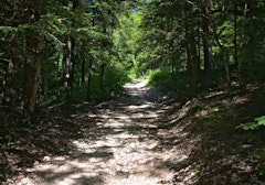 Le Tiocan from Thoiry