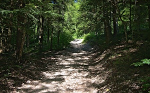 Le Tiocan from Thoiry