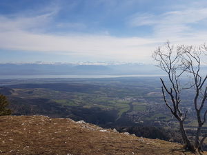 Le Turet depuis le col de la Faucille