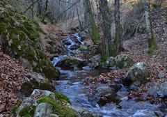 Ruisseau de Gournier