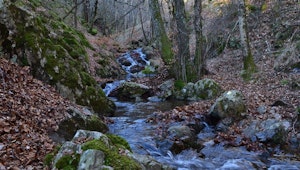 Ruisseau de Gournier