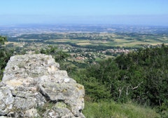 Madone de Savas