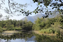 Marais de Lavours