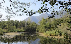 Marais de Lavours