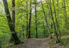 Parcours du Poilu