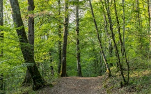 Parcours du Poilu