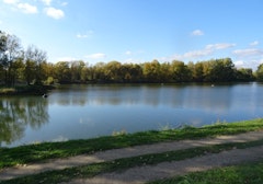 Plan d'eau des Champlins