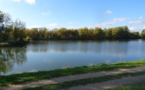 Plan d'eau des Champlins