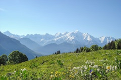 Plateau de Mayères
