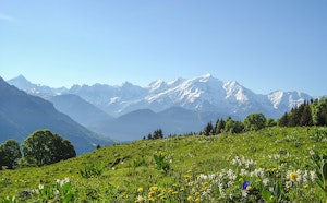 Plateau de Mayères