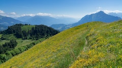Praz Vechin