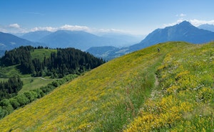 Praz Vechin
