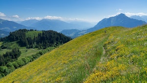 Praz Vechin