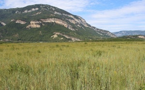 Meadows and Marshes of Lavours