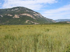 Meadows and Marshes of Lavours