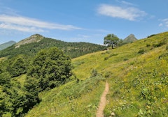 Puy Gros