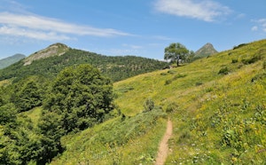 Puy Gros