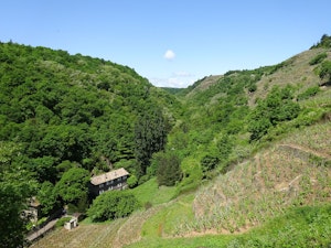 Ravin de l'Arbuel