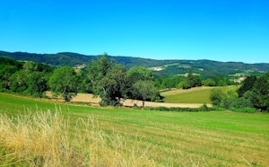 Roche Corbière